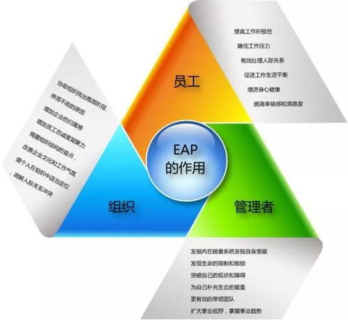 如何有效實(shí)施企業(yè)EAP項(xiàng)目管理師培訓(xùn)工作坊