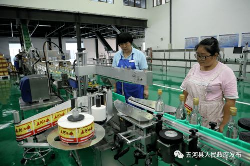 安徽淮酒新廠正式啟用，開啟酒類經營新篇章